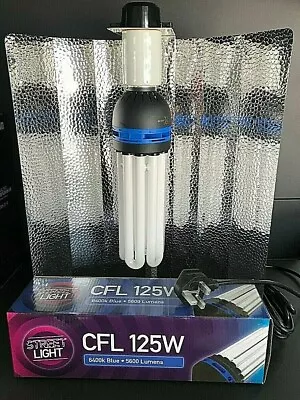 CFL 125w Grow Light Kit UK For Indoor Plants Replaces HPS HID LED 600w 1000w • £39.99