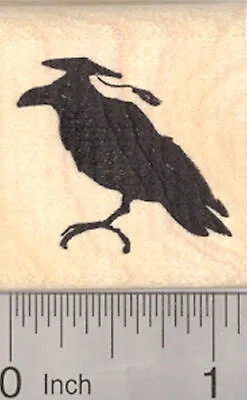 Graduation Crow Rubber Stamp Mortarboard Hat On Raven Blackbird D25510 WM • $14