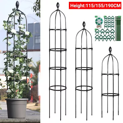3 Sizes Climbing Plants Metal Garden Obelisk Strong Tubular Plant Cage Support • £5.69