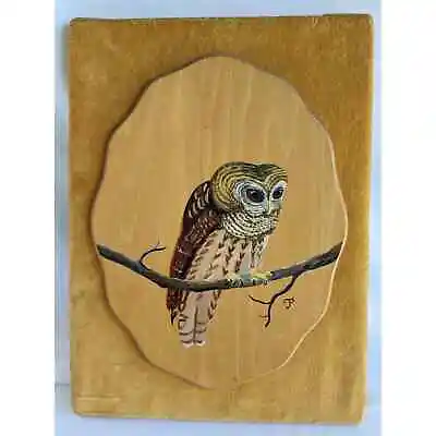Vintage Original Owl Bird Oil Painting On Wood Board Signed P Folk Art MCM • $59