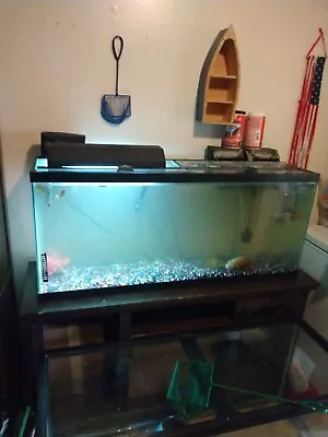 55 Gallon Fish Tank • $200