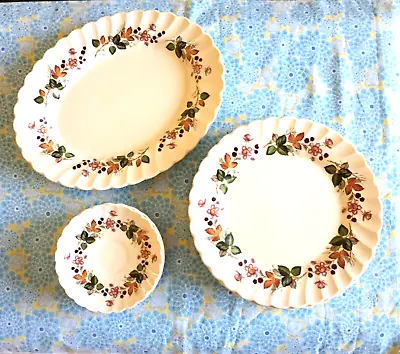 Myott Olde Chelsea 13pc 1 Platter 6 Plates 6 Saucers Staffordshire England • $26.24