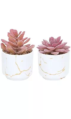 2 White Ceramic Pots Succulent Artificial Plants • $24.99