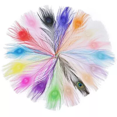 Peacock Feathers 9-12  Dyed Peacock Eye Feathers 22-28cm 18 Colours Rainbow Long • £6.29