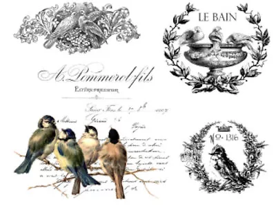 Vintage Image French Birds Labels Furniture Transfers Waterslide Decals MIS637 • $12.99