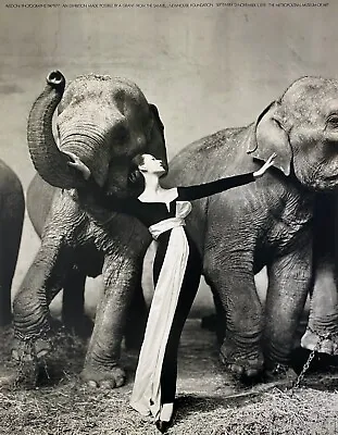 Richard Avedon Photographer / The Met / Dovima With Elephants 28  X 22  • $105