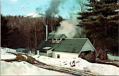 Maple Sugaring Vermont Scenic Wintertime Homestead Snow Chrome Postcard • $2.75