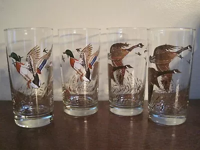 4 Vintage LIBBEY Flying Canadian Geese MALLARDS Drinking Glasses TUMBLERS • $18