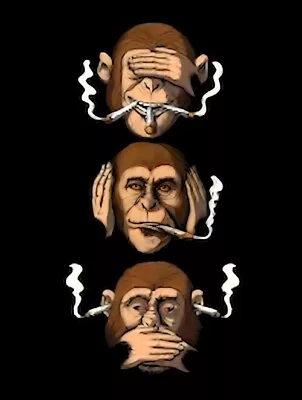 Monkeys Smoking Joint See Hear Speak No Evil Pot Weed -MAGNET • $4.73