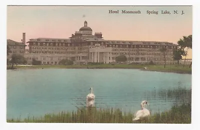 Hotel Monmouth Spring Lake NJ Swan Hand Colored Divided Back Albertype Postcard • $19.99
