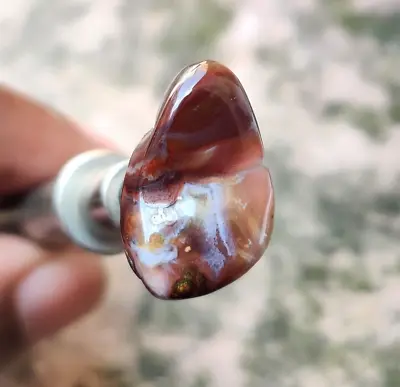 Natural Mexican Fire Agate Free Form Polished Gemstone Cabochon Size 11x19 MM • $30.99
