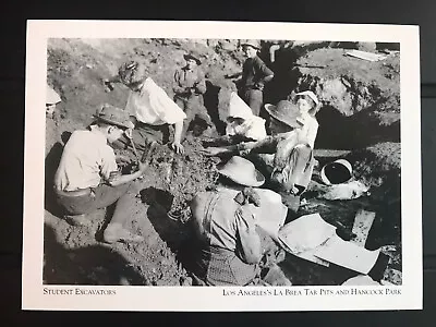 Postcard Unposted California La Brea Tar Pits-  Student Excavation  -repro • $5