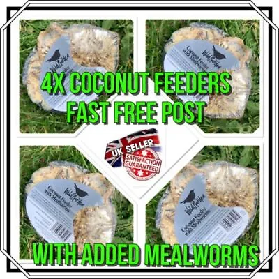 4 X Premium Half Coconut Fat Feeder High Energy Wild Bird Feed Suet + Mealworms • £9.99