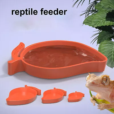 Reptile Feeding Dish Mango Shape Gecko Water Bowl Pet Food Dish Consistent • $7.54