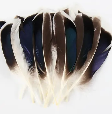 20pcs Natural Duck Mallard 12-15cm Feathers DIY Craft Millinery Smudge Fan • $5.95