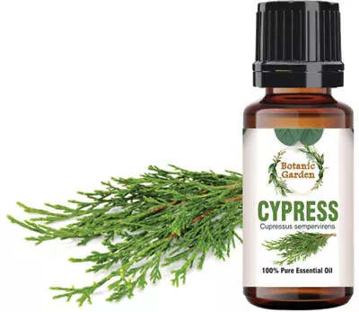 Cypress Or Cupressus Sem. Essential Oil For Relieve Stress 100% Pure Oil • $245.97