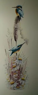 £24.99 • Buy Bright And Beautiful By Warwick Higgs Kingfisher Birds