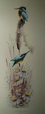 £24.99 • Buy Bright And Beautiful By Warwick Higgs Kingfisher Birds