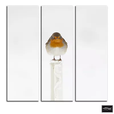 Robin Red Breast   Animals BOX FRAMED CANVAS ART Picture HDR 280gsm • £34.99