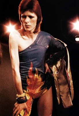 $14.95 • Buy David Bowie Poster, Glam, Live In Concert 