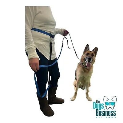Waterproof Hands-Free Dog Walking  Belt (lead Seperate) • £19.80