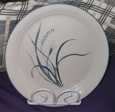 Corelle Coastal Breeze Blue  Rimmed Dinner Plate(s) 10 1/4  • $18.99