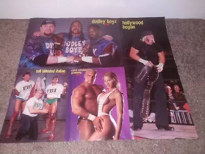 ECW WWF WWE  Tammy Dudley Boys FBI Hulk Hogan Ric Flair Poster 20x24 Double Side • $16.99