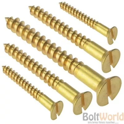 £191.16 • Buy Solid Brass Slotted Flat Countersunk Head Chipboard Wood Screws Woodscrews
