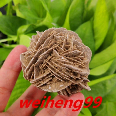 $18.90 • Buy 150g+ Natural Desert Rose Stone Quartz Crystal Carved Specimen Gift Reiki 1pc.