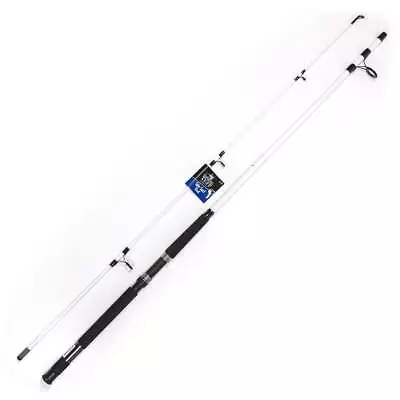 Spin N' Surf 8' Saltwater Fishing Rod • $17.96