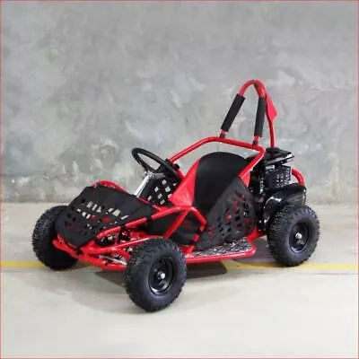 GK80SS - Mini Go Kart Buggy 80cc Petrol Powered Ride On Automatic Kids RED Race • $1300