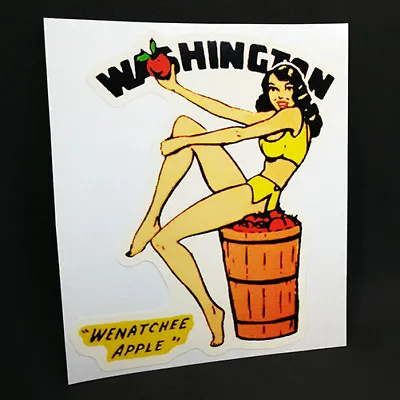 Washington Pin Up  Wenatchee Apple  Vintage Style Pinup DECAL Vinyl STICKER • $4.69
