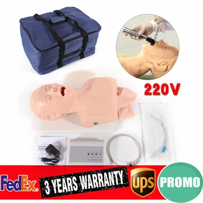 $192 • Buy Adult Airway Management Trainer Oral Intubation Model Manikin Study Teaching