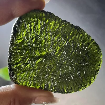 449CT Moldavite Genuine Raw Moldavite Crystal From Czech Republic PICcertificate • $15.50