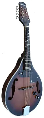 Our New Electro-Mandolin With Pickup ( VOLUME BUILT-IN ) (3 Colors) • $168