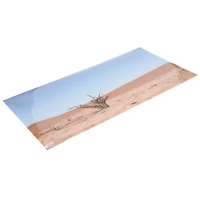 Aquarium Desert Pattern Poster Backdrop 3D Adhesive Fish Tank Background Supply • $9.61