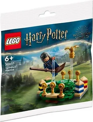 LEGO HARRY POTTER Quidditch Practice  (30651) Polybag - BRAND NEW • $9.95