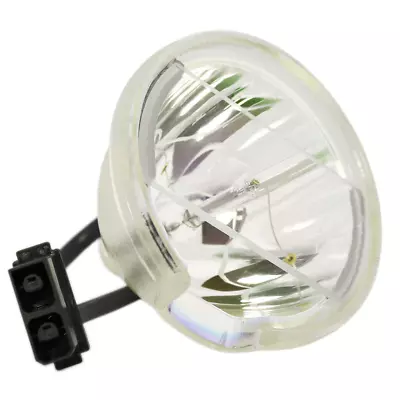 Toshiba TB25 D95 Y66 Y67 Y196 D42-LMP Bare TV Lamp • $59.99