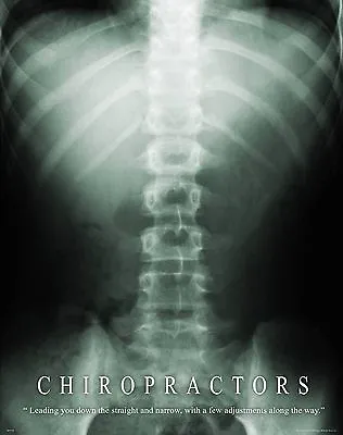 Chiropractic Motivational Poster Print Medical Books Office Room Wall Art  Decor • $9.95