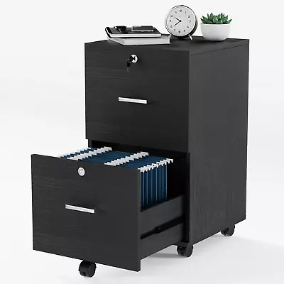 Rolling File Cabinet W/ Lock 2 Drawer Filing Cabinet Under Desk For Home Office • $99.99