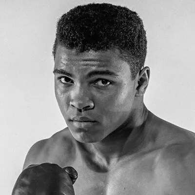 Muhammad Ali Black And White Portrait 8x10 Picture Celebrity Print • $3.98