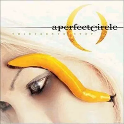 Thirteenth Step By Perfect Circle (Record 2003) • $37.60