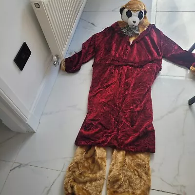 Adult Meerkat Fancy Dress Outfit Compare The Meerkat • £20