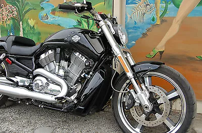 $50 • Buy Harley Davidson V-Rod Muscle Stainless Steel Screw Kit With 217 Fasteners