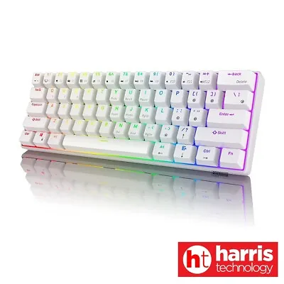 Royal Kludge RK61 TriMode RGB Hot Swappable Mechanical Keyboard White Red Switch • $89.50