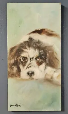 Vintage Oil Painting Dog Puppy On Canvas Signed Portrait Art Home Wall Decor • $47.99
