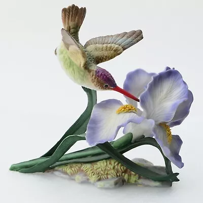 Maruri Violet-crowned Hummingbird With Iris Porcelain Bird Figurine • $68.95