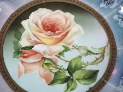 M.Z. Austria Porcelain Rose Decorated Plate • $19
