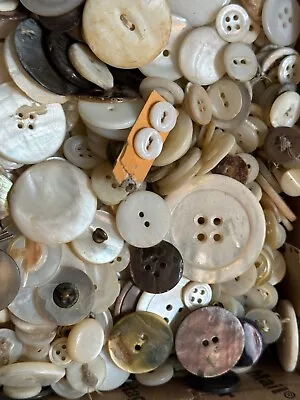 Lot Of Mixed Vintage To Antique Mother Of Pearl Buttons • $8.99