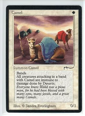 Camel (3) Arabian Nights ARN (BASE) LP (MTG) • $10.94